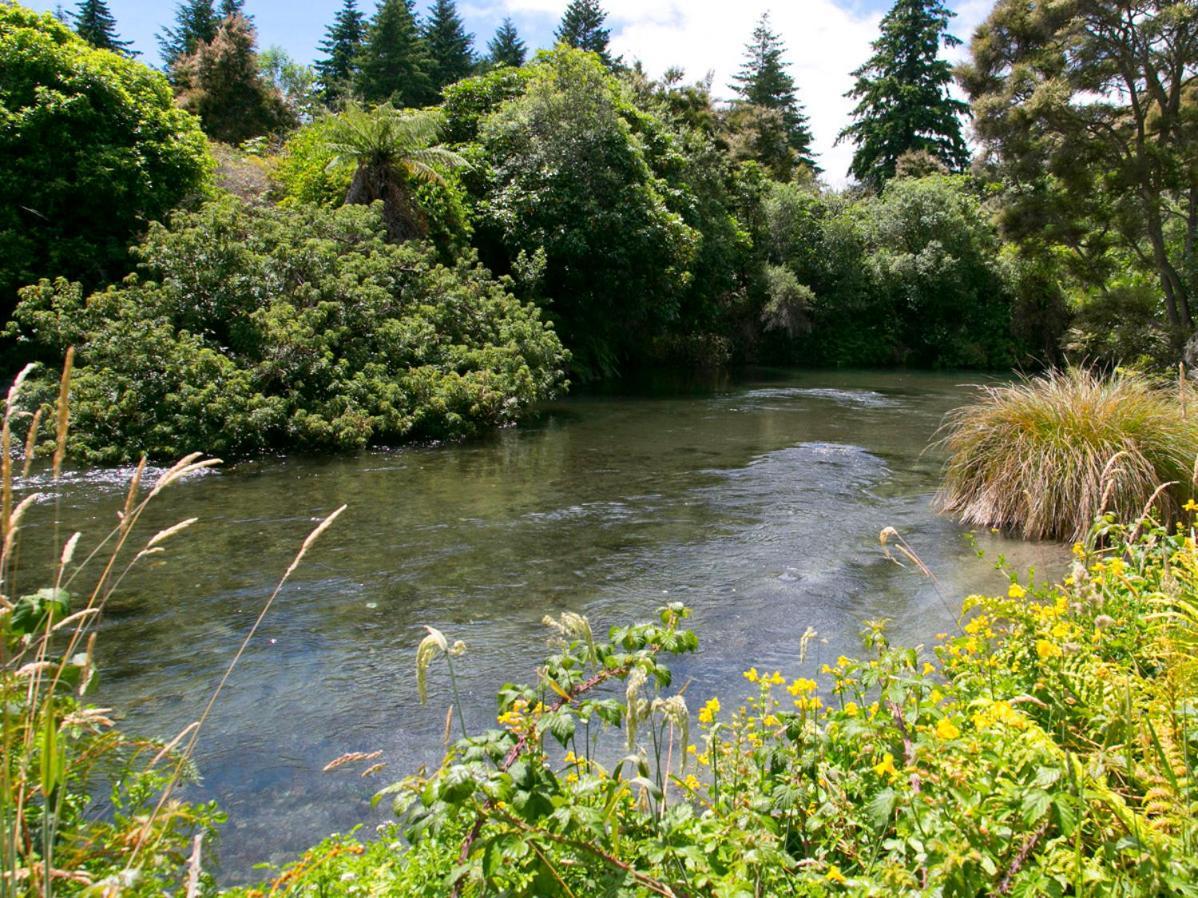 Bellbird Cottage - Lake Taupo Bach Waitahanui Kültér fotó